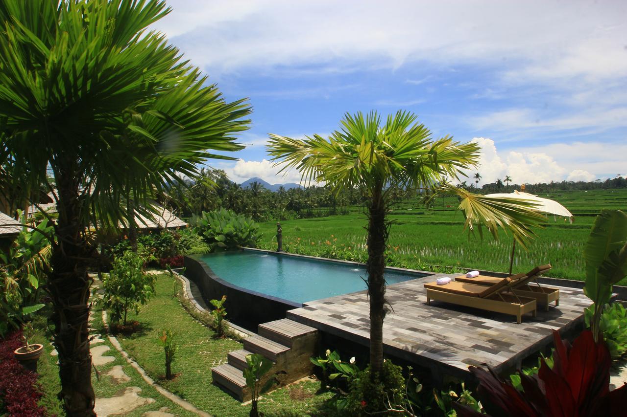 Padi Bali Eco Villas Payangan Kültér fotó