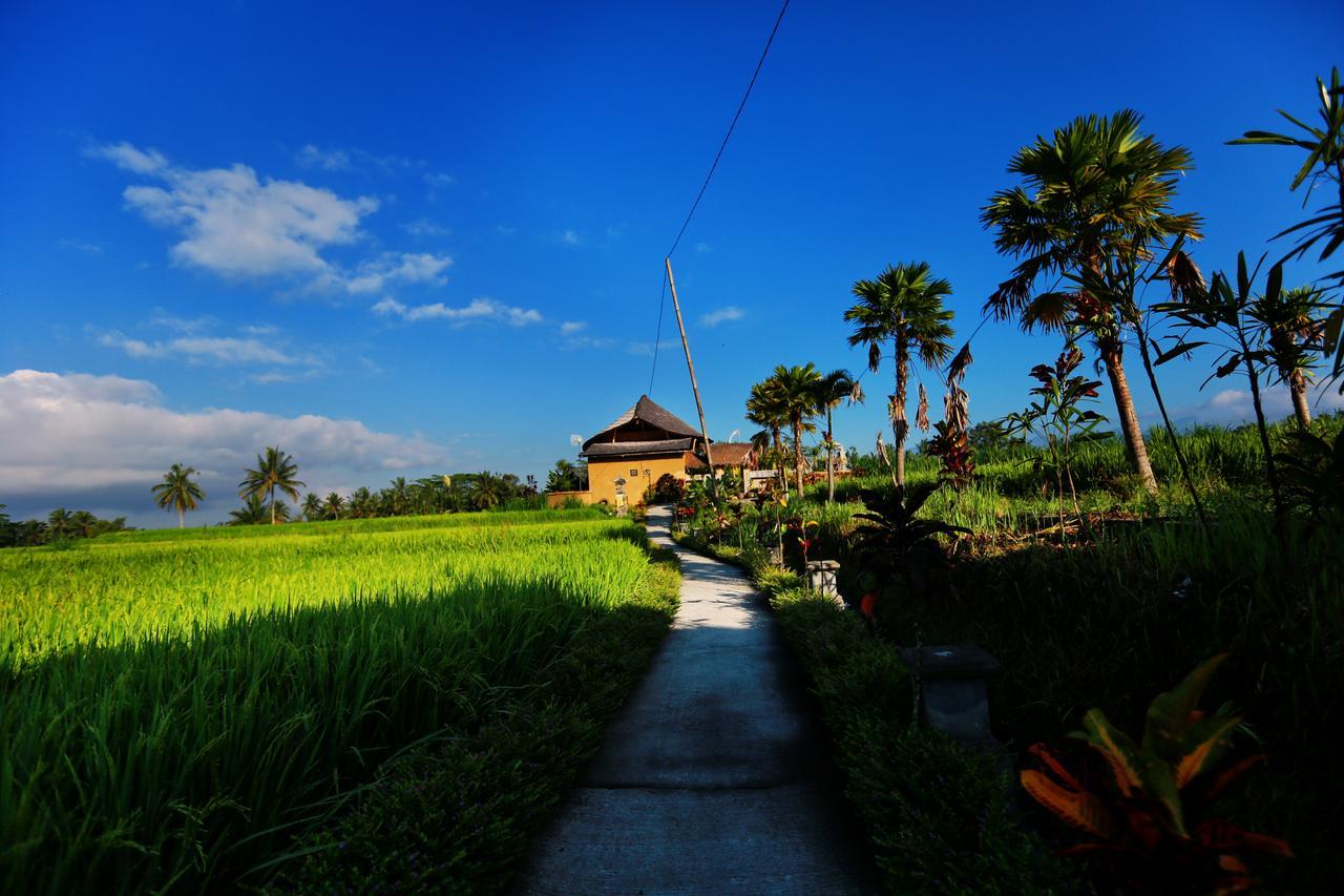 Padi Bali Eco Villas Payangan Kültér fotó